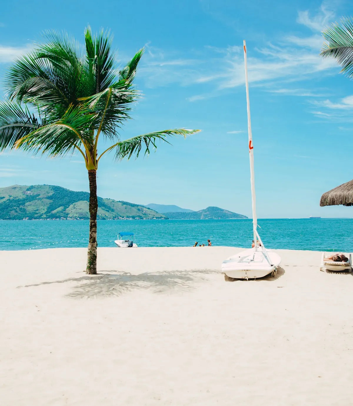 Palm trees and calm sea on a sunny beach in the south of Tenerife